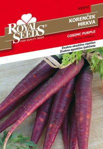korenček cosmic purple