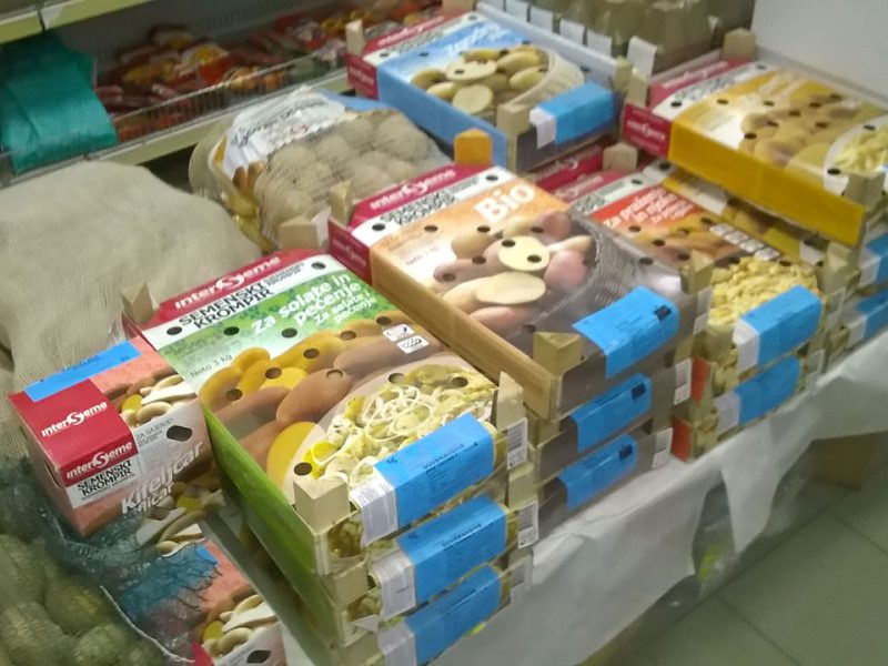 Kako izbrati dober krompir?