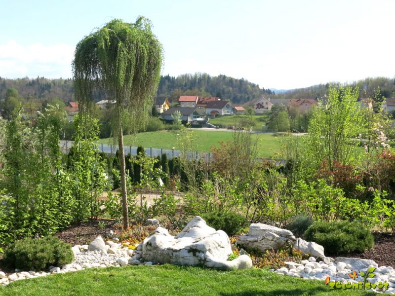 Ideje za ureditev okrasnega vrta