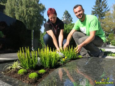 7 idejnih zasaditev za najlepši grob