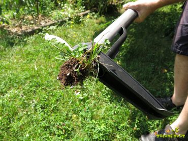 Učinkovito odstranjevanje plevelov in prijazna košnja