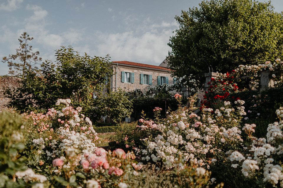 Villa Fabiani, vrtnice in čudovit rožni vrt v Kobdilju na Krasu