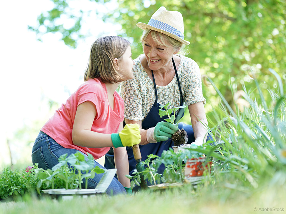 Katere rastline otroci najbolj obožujejo na vrtu dedkov in babic?