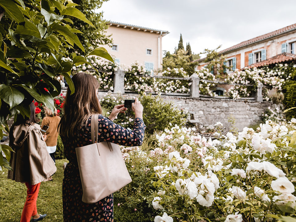 Villa Fabiani, romantične vrtnice ter razvojno partnerstvo za Kras in Brkine