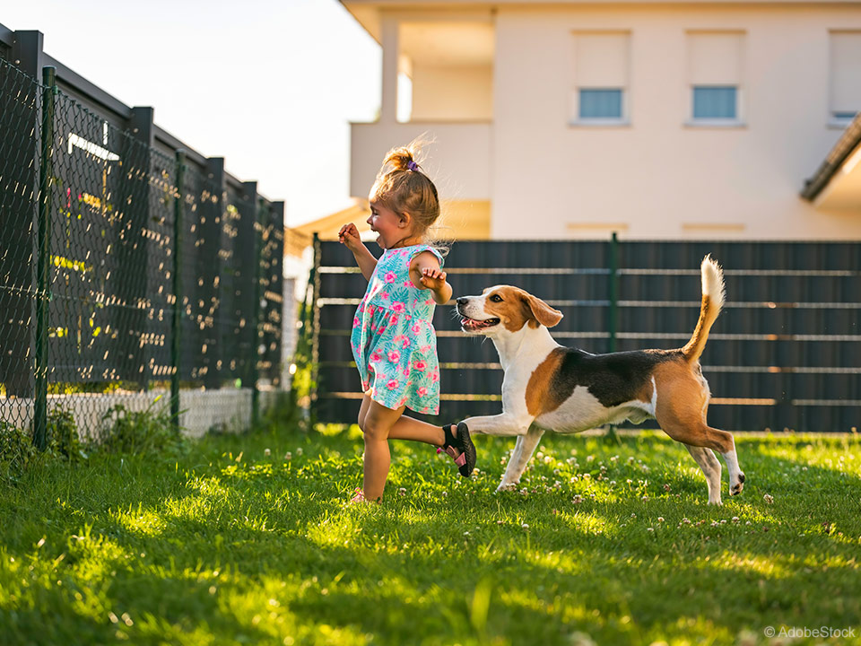 otrok in pes se igrata na trati