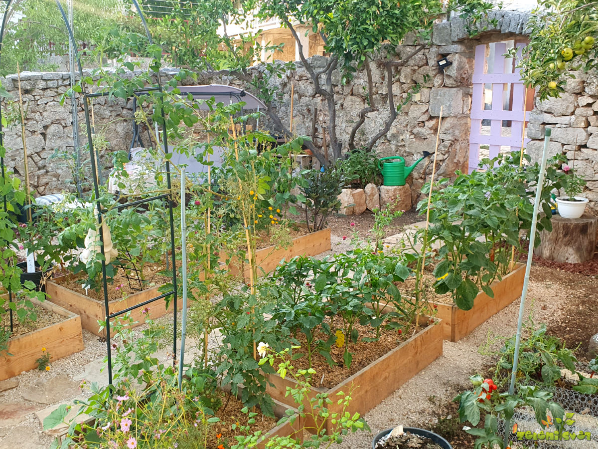 vrt na otoku hvar