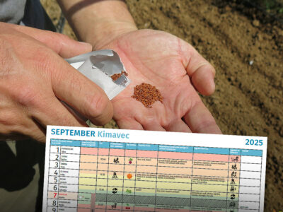 Brezplačen setveni koledar za september in navodila za delo na vrtu