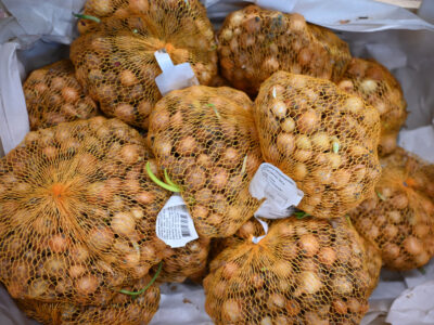 5 zmagovalnih sort in čebula, ki jo sadimo brez prekopavanja