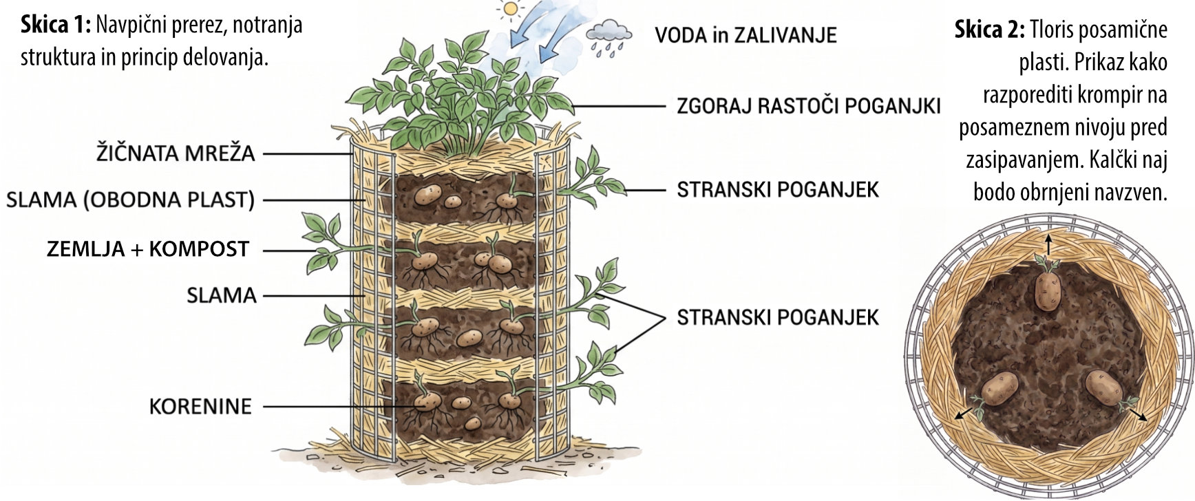 stolp za krompir skica